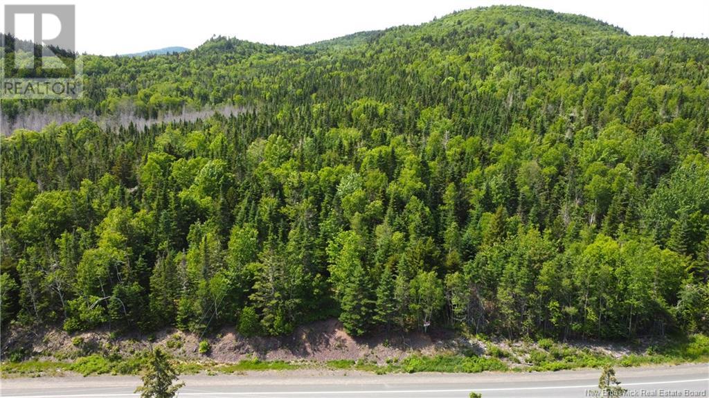 Lot 2024-3 Route 127, Chamcook, New Brunswick  E5B 3R6 - Photo 3 - NB117580