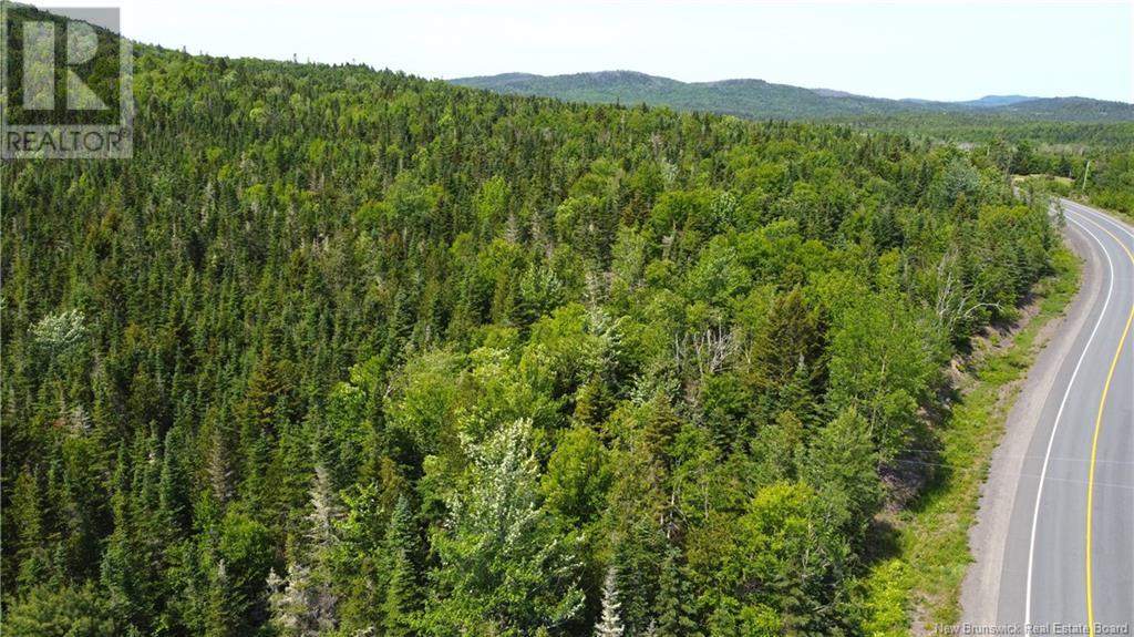 Lot 2024-2 Route 127, Chamcook, New Brunswick  E5B 3R6 - Photo 20 - NB117578