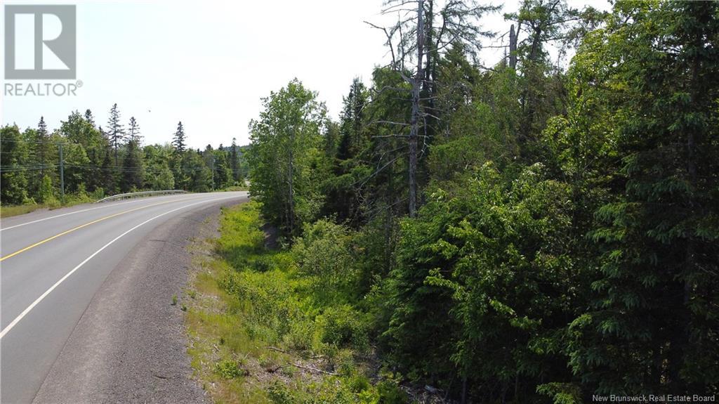 Lot 2024-2 Route 127, Chamcook, New Brunswick  E5B 3R6 - Photo 22 - NB117578