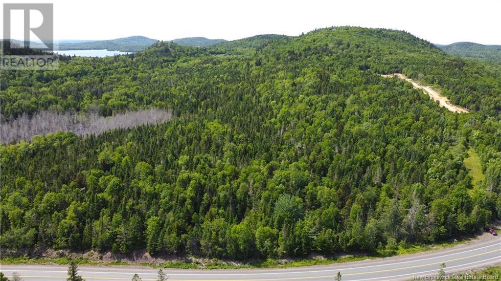 Lot 2024-2 Route 127, Chamcook, New Brunswick  E5B 3R6 - Photo 7 - NB117578