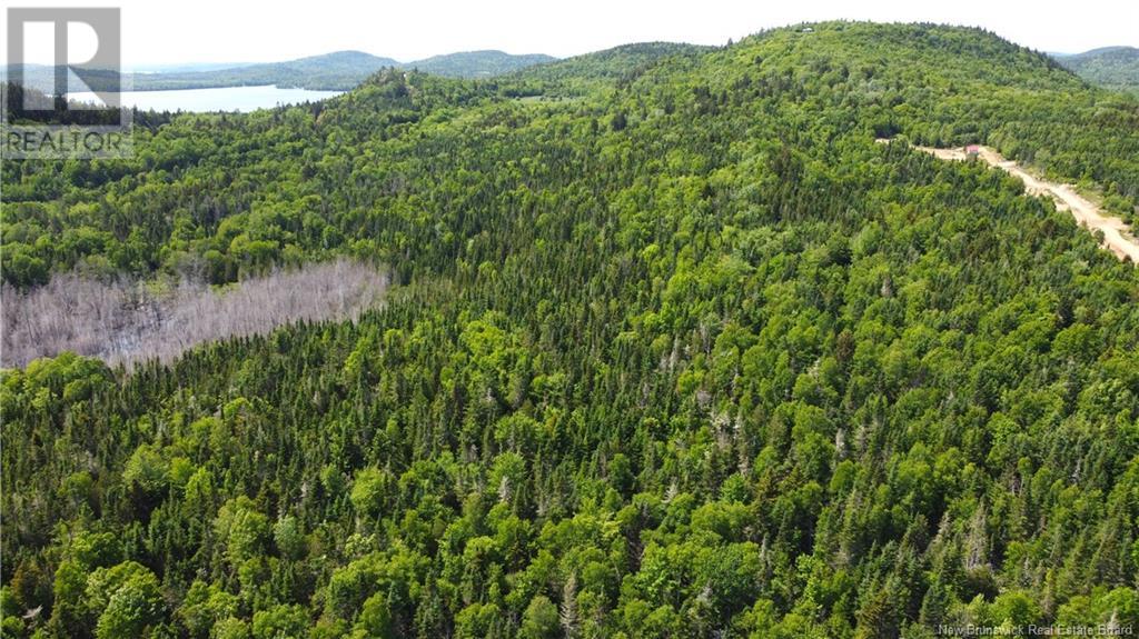 Lot 2024-2 Route 127, Chamcook, New Brunswick  E5B 3R6 - Photo 9 - NB117578