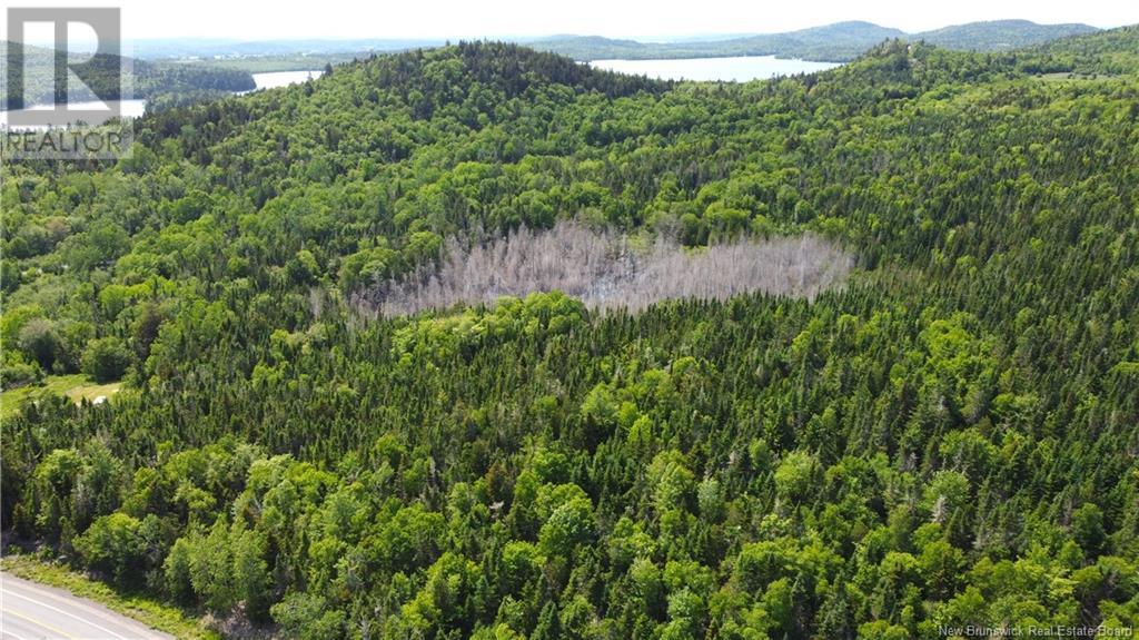 Lot 2024-1 Route 127, Chamcook, New Brunswick E5B 3R6 - Photo 10 - NB117434