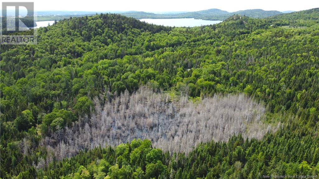 Lot 2024-1 Route 127, Chamcook, New Brunswick E5B 3R6 - Photo 13 - NB117434
