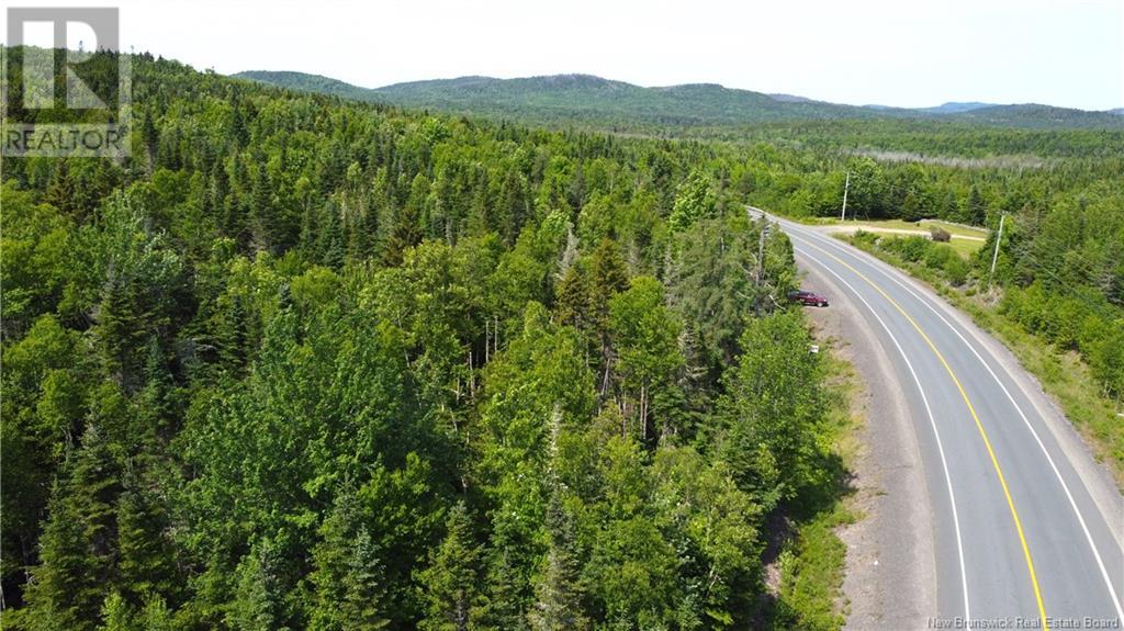 Lot 2024-1 Route 127, Chamcook, New Brunswick E5B 3R6 - Photo 21 - NB117434