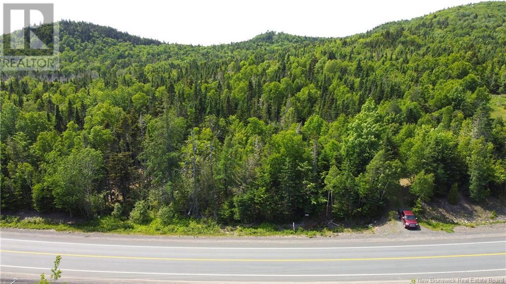Lot 2024-1 Route 127, Chamcook, New Brunswick E5B 3R6 - Photo 4 - NB117434