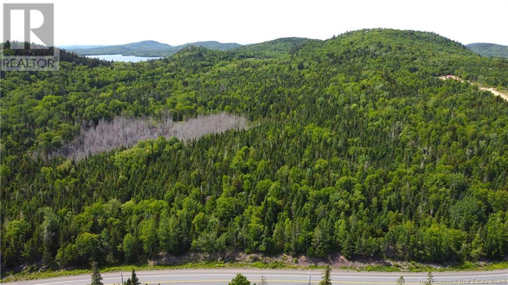 Lot 2024-1 Route 127, Chamcook, New Brunswick E5B 3R6 - Photo 6 - NB117434