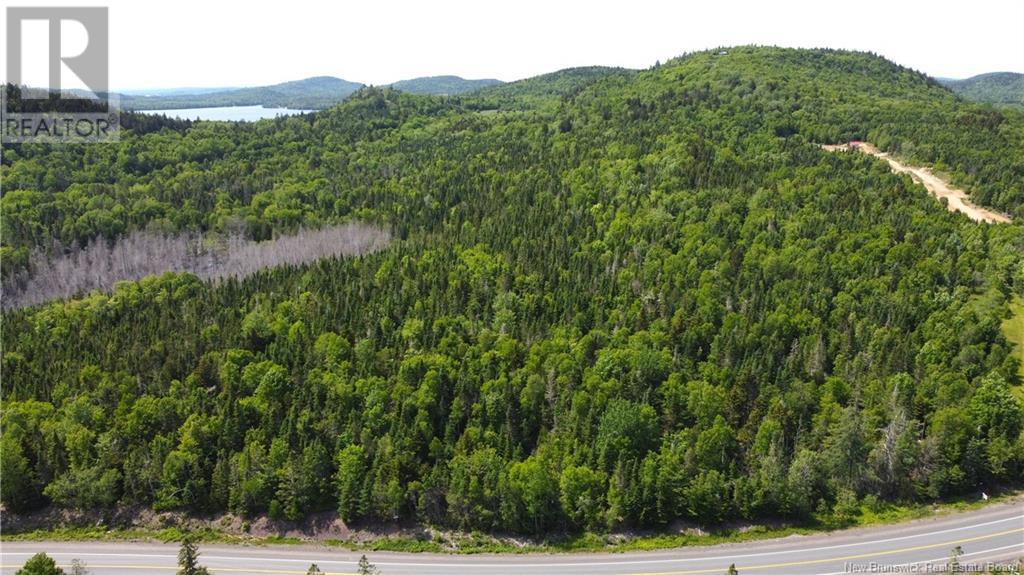 Lot 2024-1 Route 127, Chamcook, New Brunswick E5B 3R6 - Photo 8 - NB117434