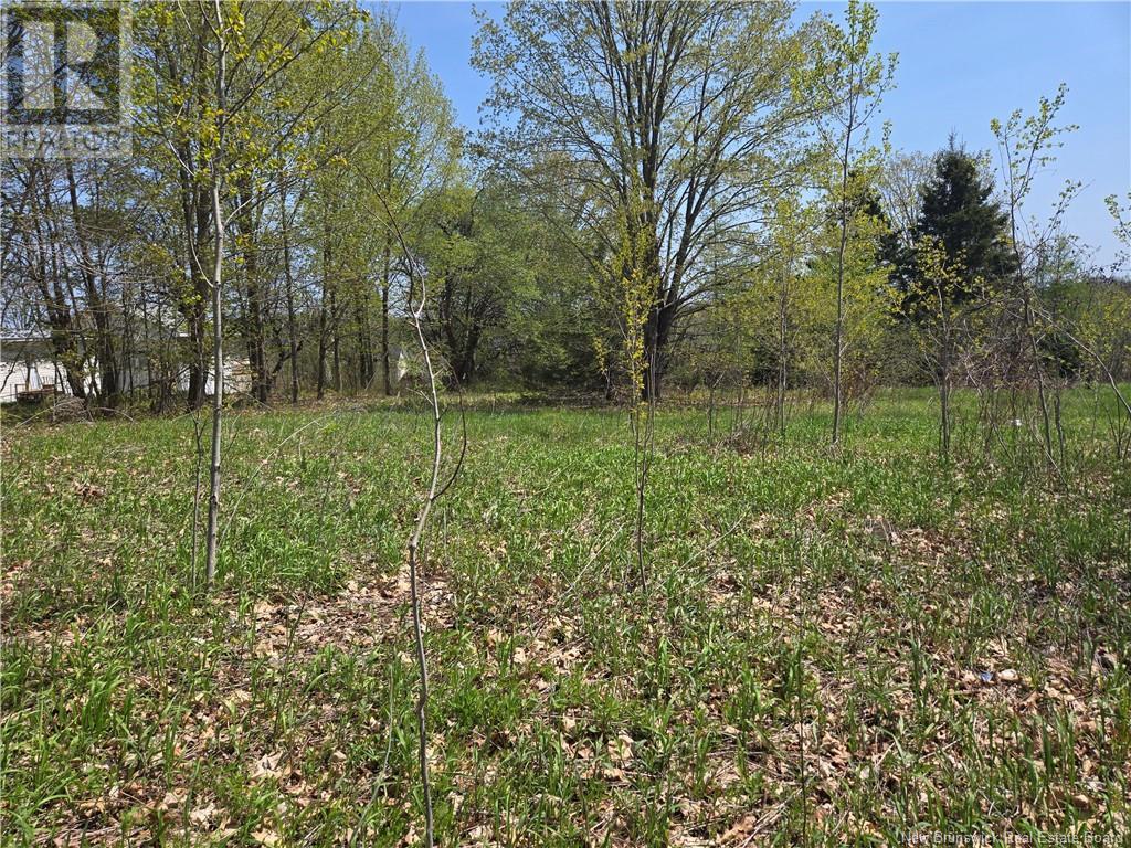 329 Clements Drive, Fredericton, New Brunswick  E3G 7J1 - Photo 20 - NB116784