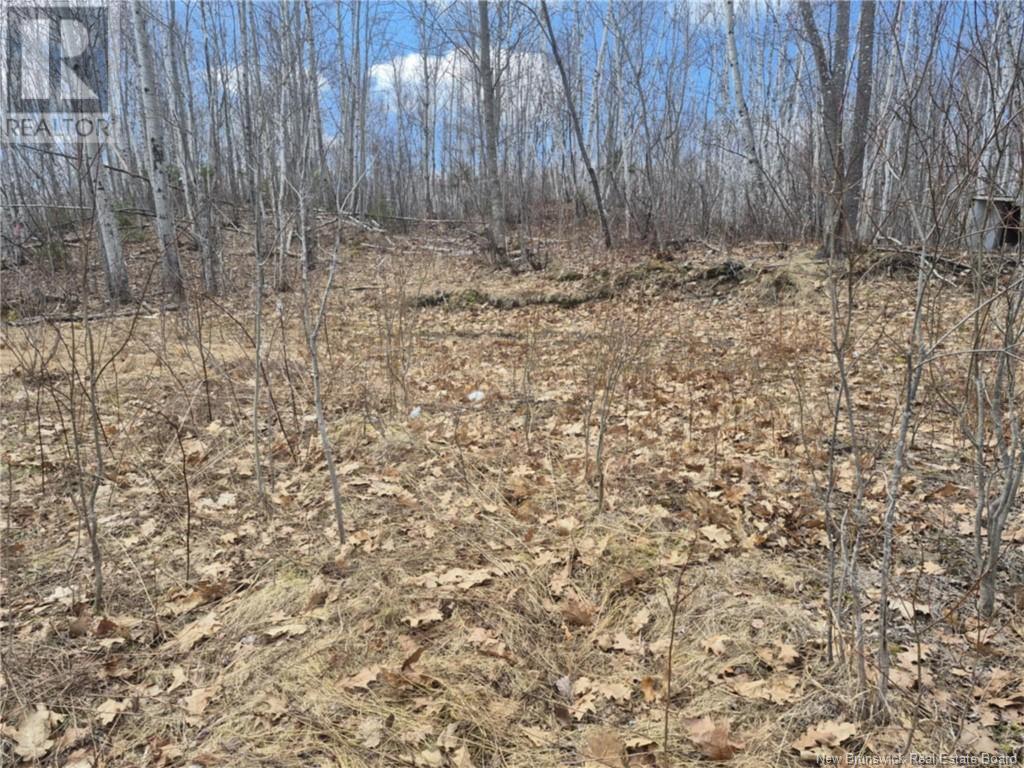 Lot Renous River Road, Renous, New Brunswick  E9E 2C8 - Photo 4 - NB118030