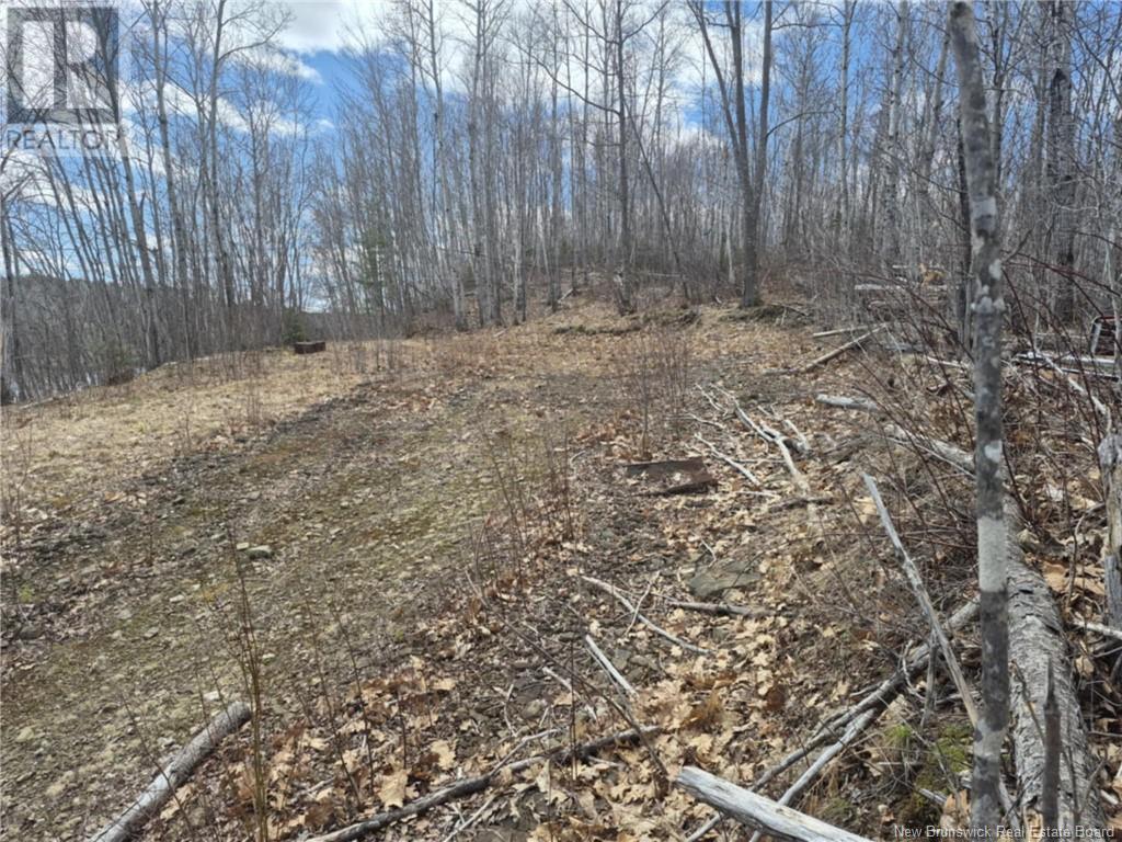 Lot Renous River Road, Renous, New Brunswick  E9E 2C8 - Photo 5 - NB118030