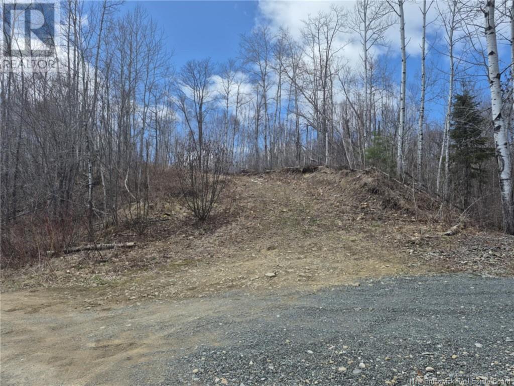 Lot Renous River Road, Renous, New Brunswick  E9E 2C8 - Photo 6 - NB118030