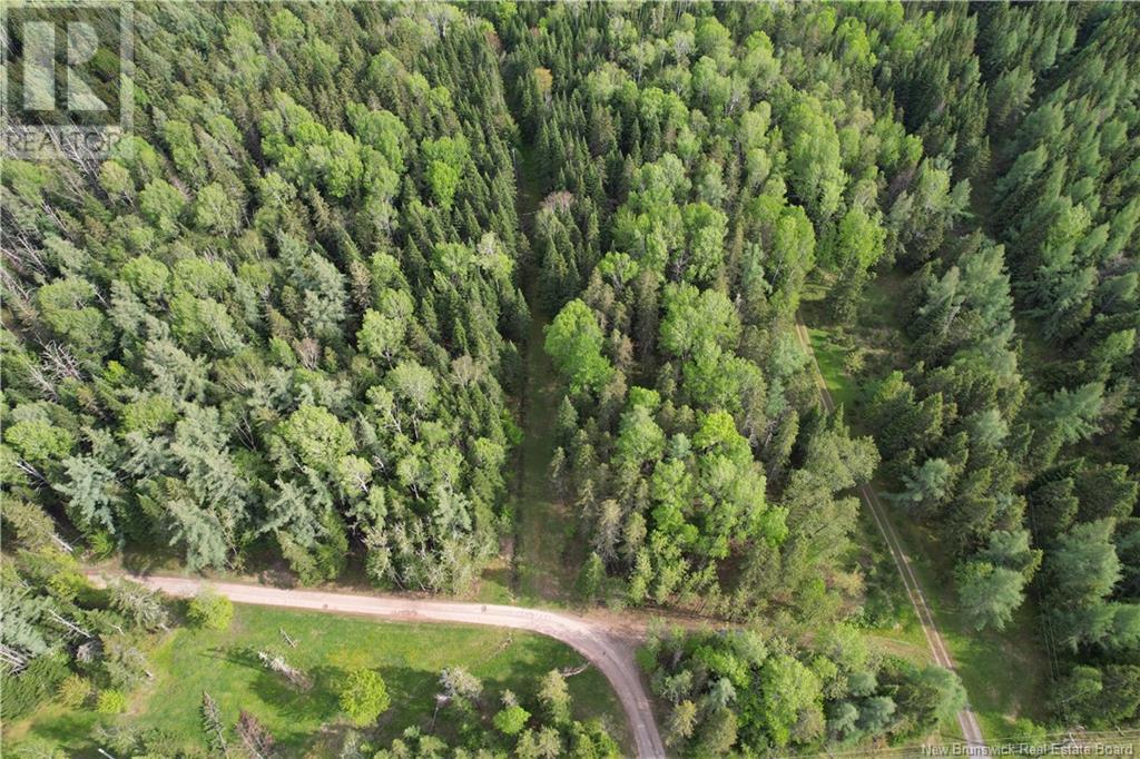 1194 Route 385, Oxbow, New Brunswick  E7G 3L8 - Photo 26 - NB118173