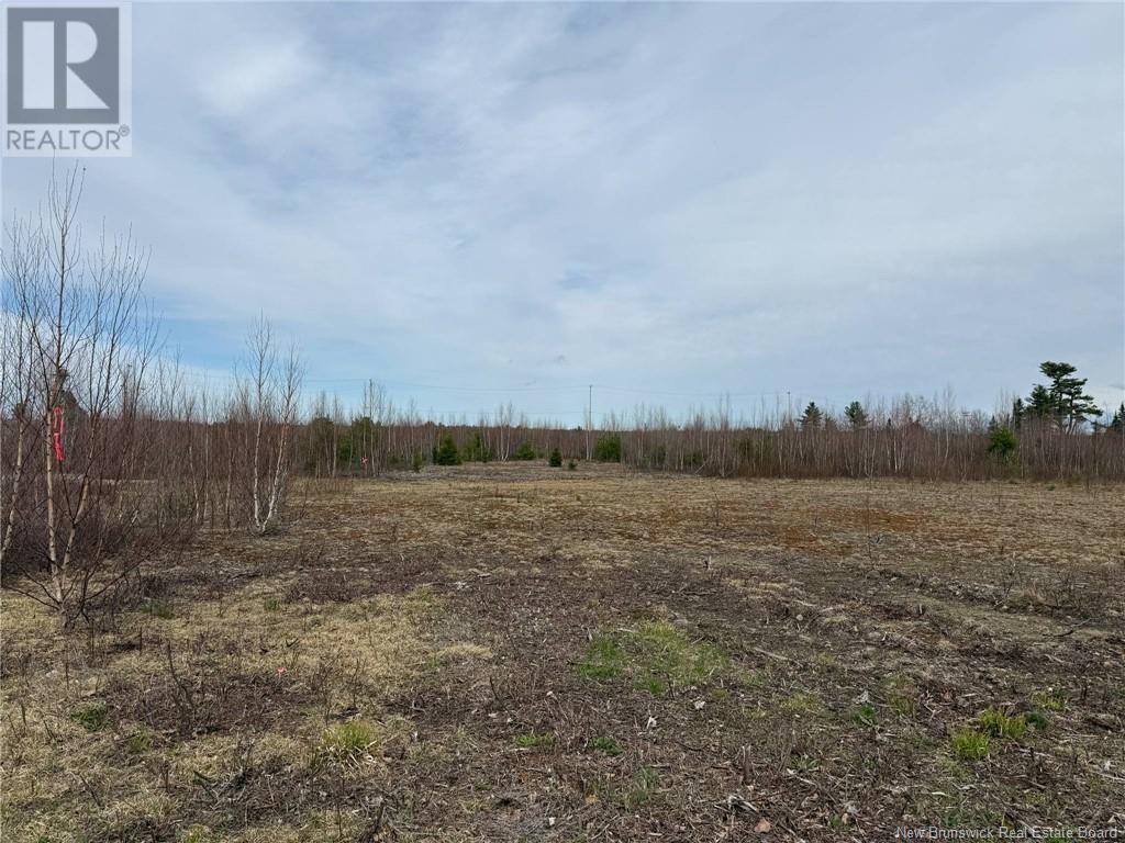 50 Acres Main Street, Blackville, New Brunswick  E1V 6A3 - Photo 40 - NB118248
