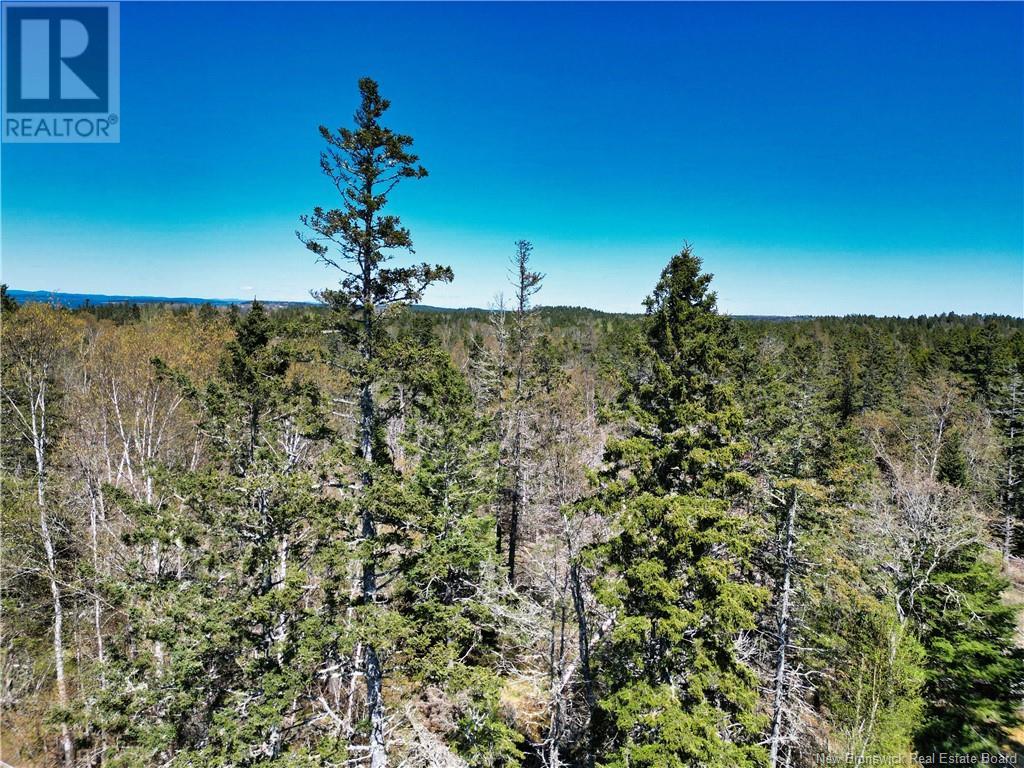 86-39 & 86-40 Mitchell Court, Welshpool, New Brunswick  E5E 1H6 - Photo 13 - NB118277