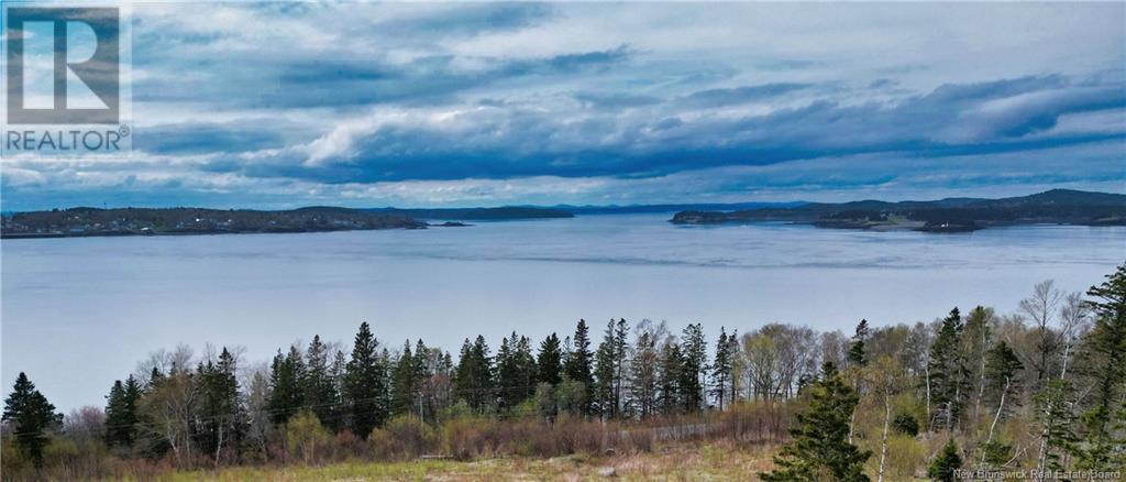 86-39 & 86-40 Mitchell Court, Welshpool, New Brunswick  E5E 1H6 - Photo 2 - NB118277