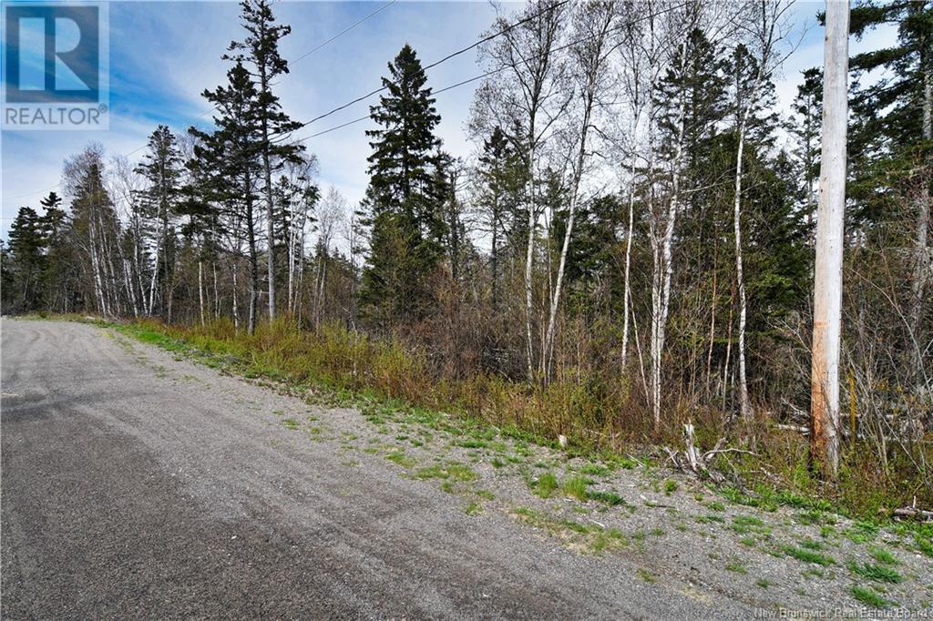 86-39 & 86-40 Mitchell Court, Welshpool, New Brunswick  E5E 1H6 - Photo 21 - NB118277