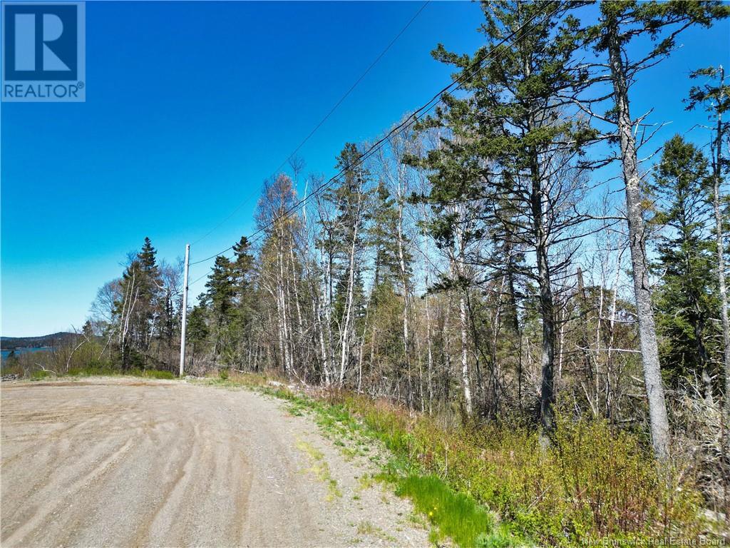 86-39 & 86-40 Mitchell Court, Welshpool, New Brunswick  E5E 1H6 - Photo 5 - NB118277