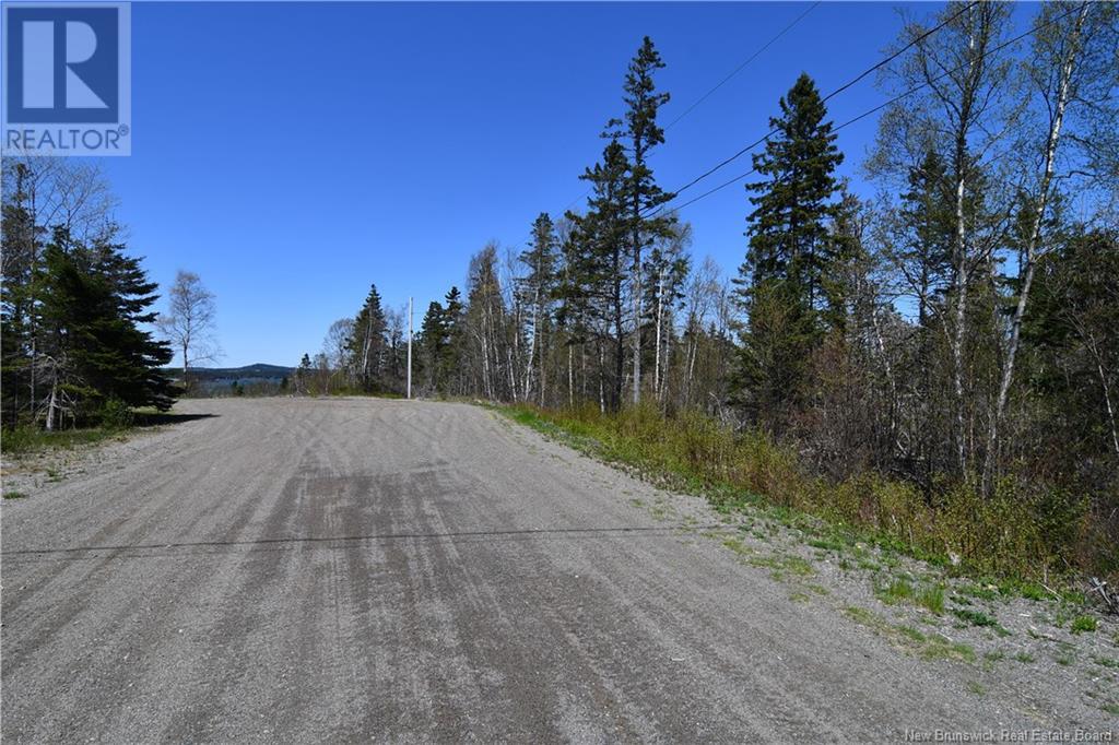 86-39 & 86-40 Mitchell Court, Welshpool, New Brunswick  E5E 1H6 - Photo 7 - NB118277