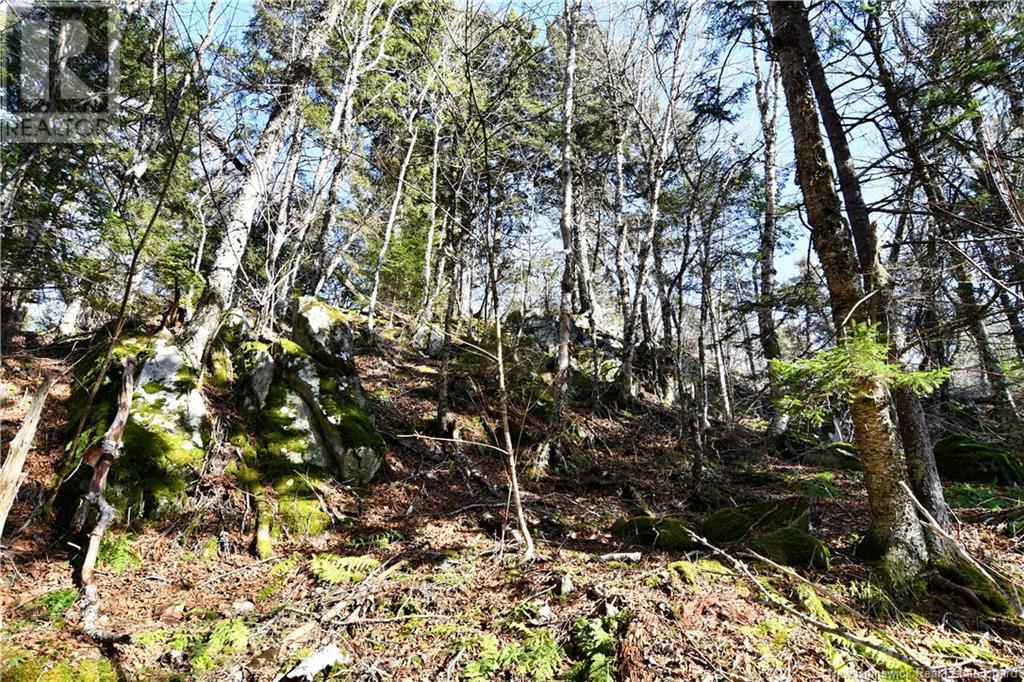 85-101 To 85-104 Bunker Hill, Wilsons Beach, New Brunswick  E5E 1Z3 - Photo 13 - NB114785