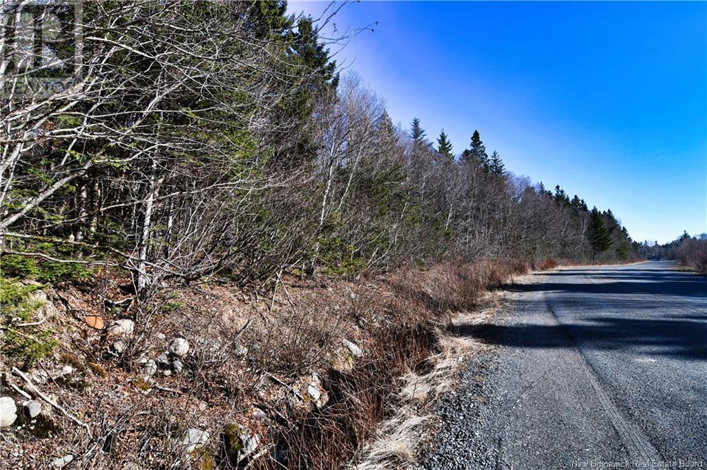 85-101 To 85-104 Bunker Hill, Wilsons Beach, New Brunswick  E5E 1Z3 - Photo 15 - NB114785