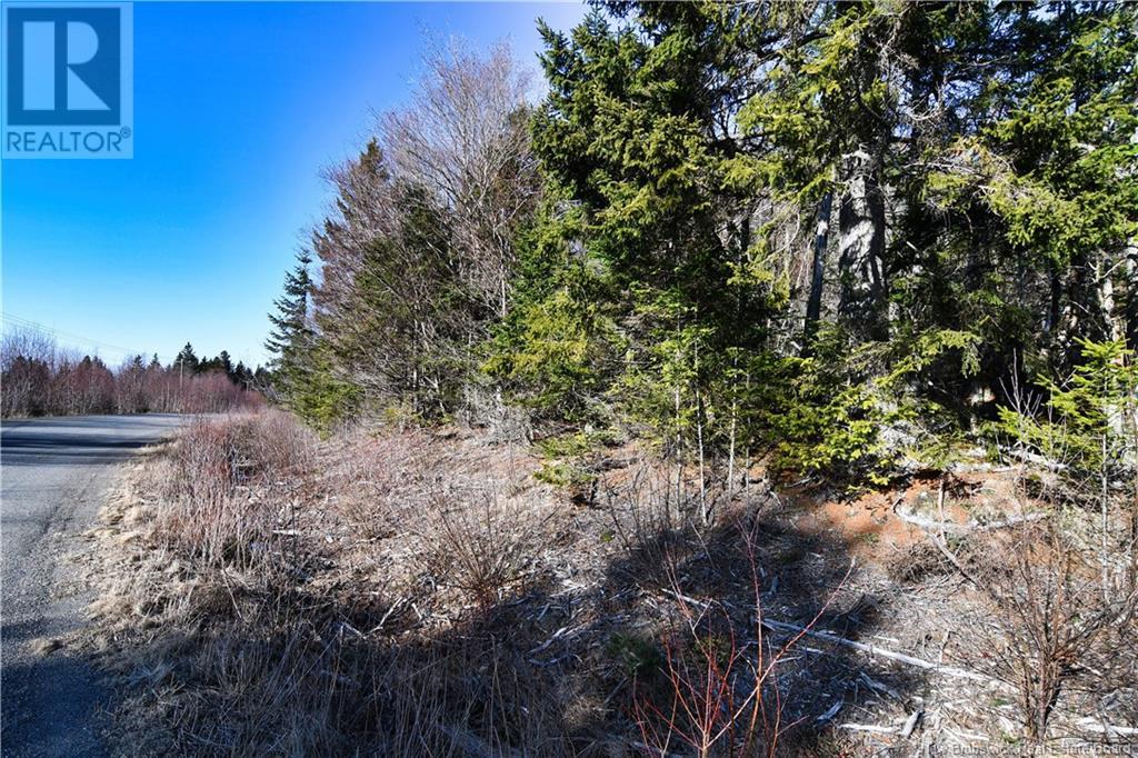 85-101 To 85-104 Bunker Hill, Wilsons Beach, New Brunswick  E5E 1Z3 - Photo 16 - NB114785