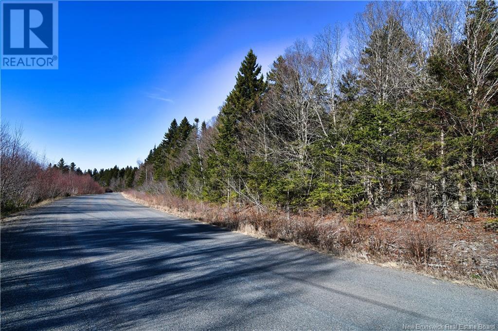 85-101 To 85-104 Bunker Hill, Wilsons Beach, New Brunswick  E5E 1Z3 - Photo 17 - NB114785