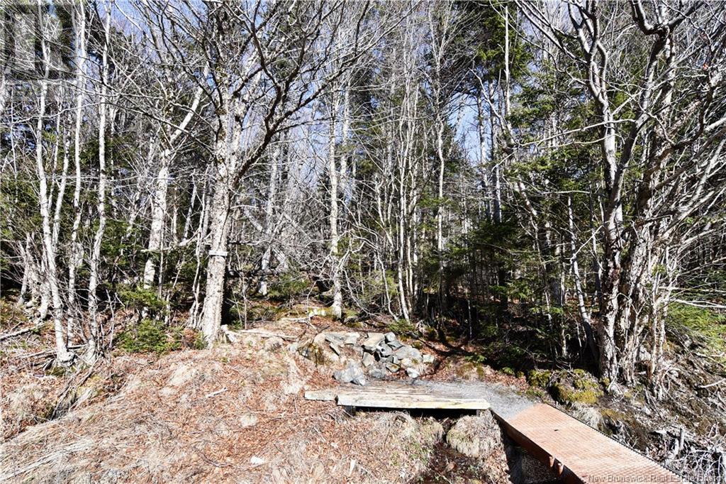 85-101 To 85-104 Bunker Hill, Wilsons Beach, New Brunswick  E5E 1Z3 - Photo 18 - NB114785