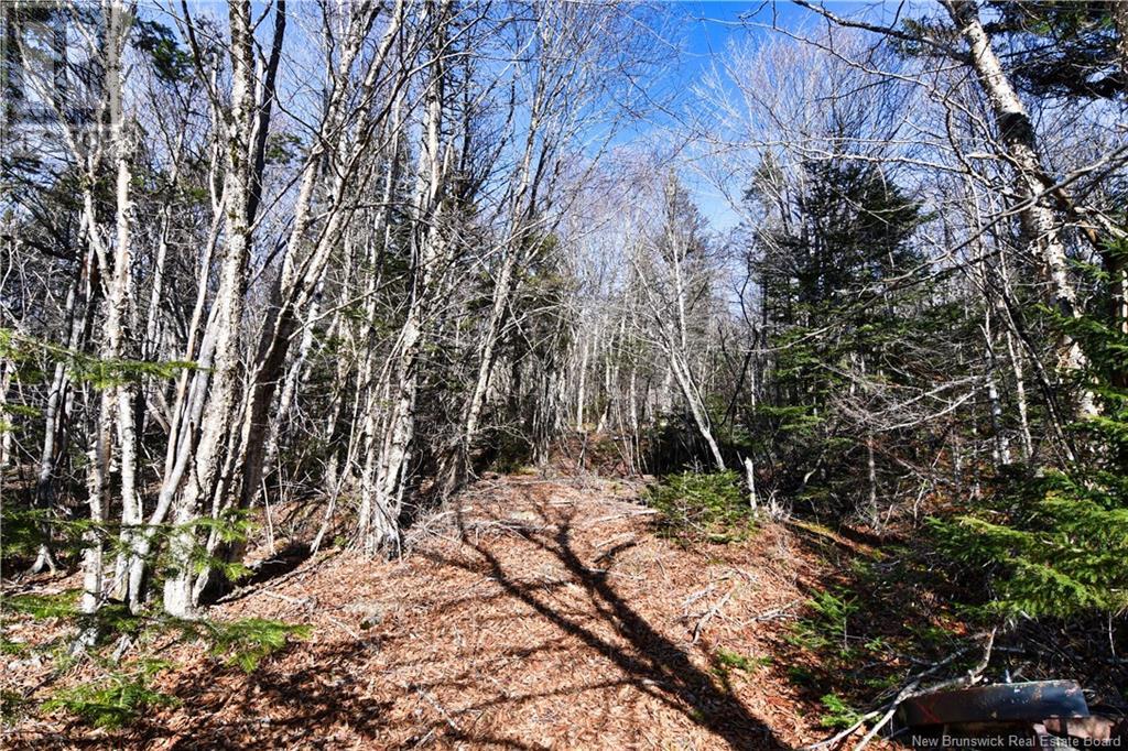 85-101 To 85-104 Bunker Hill, Wilsons Beach, New Brunswick  E5E 1Z3 - Photo 3 - NB114785