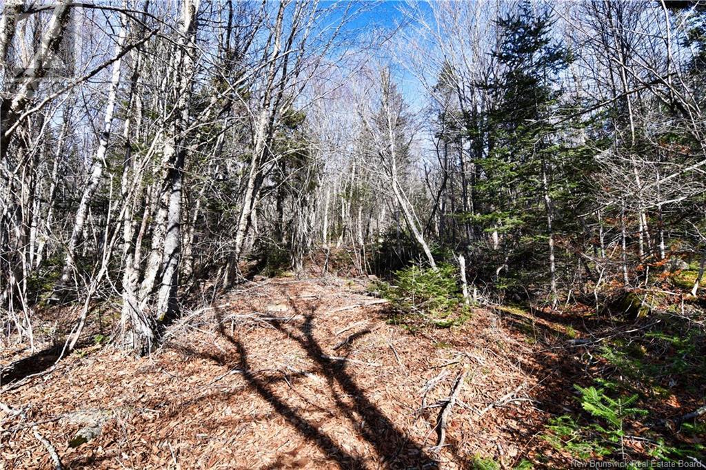 85-101 To 85-104 Bunker Hill, Wilsons Beach, New Brunswick  E5E 1Z3 - Photo 8 - NB114785