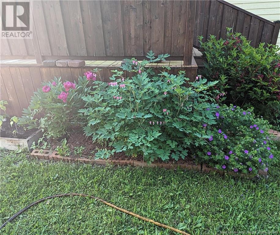 1150 Route 370, Leech, New Brunswick  E1X 1S6 - Photo 16 - NB118364