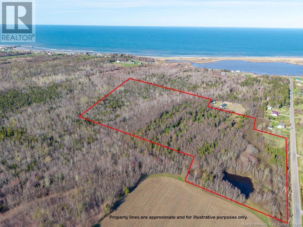 Perry Road, Bouctouche, New Brunswick  E4S 4S9 - Photo 2 - NB118175