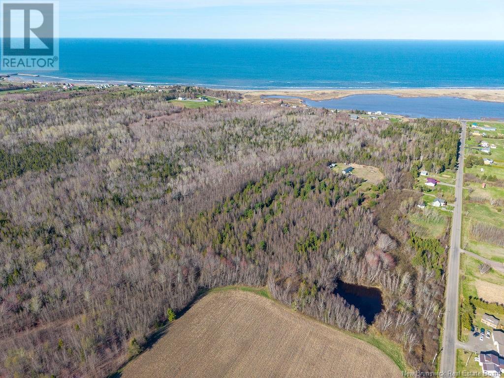 Perry Road, Bouctouche, New Brunswick  E4S 4S9 - Photo 8 - NB118175