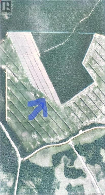 61 Acres Crown Land, Pont-Lafrance, New Brunswick E1X 2M8 - Photo 2 - NB118204