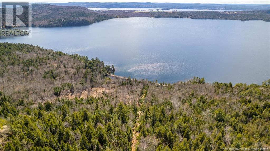 Lot 2021-01 And 02 Frye Road, Chamcook, New Brunswick  E5B 0C3 - Photo 13 - NB117111