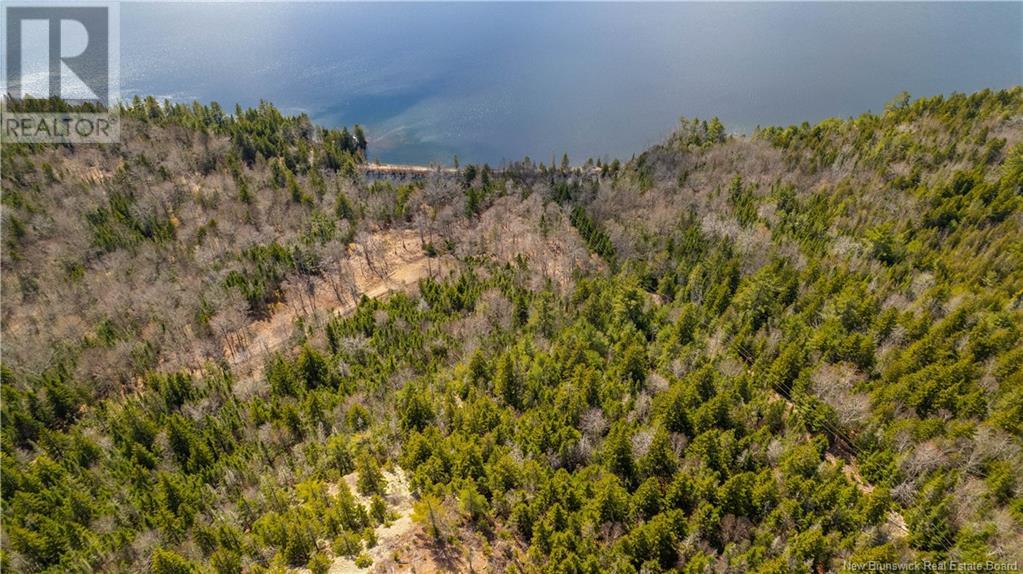 Lot 2021-01 And 02 Frye Road, Chamcook, New Brunswick  E5B 0C3 - Photo 14 - NB117111