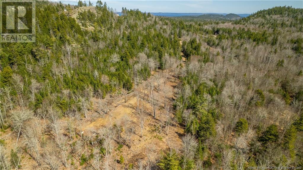 Lot 2021-01 And 02 Frye Road, Chamcook, New Brunswick  E5B 0C3 - Photo 17 - NB117111