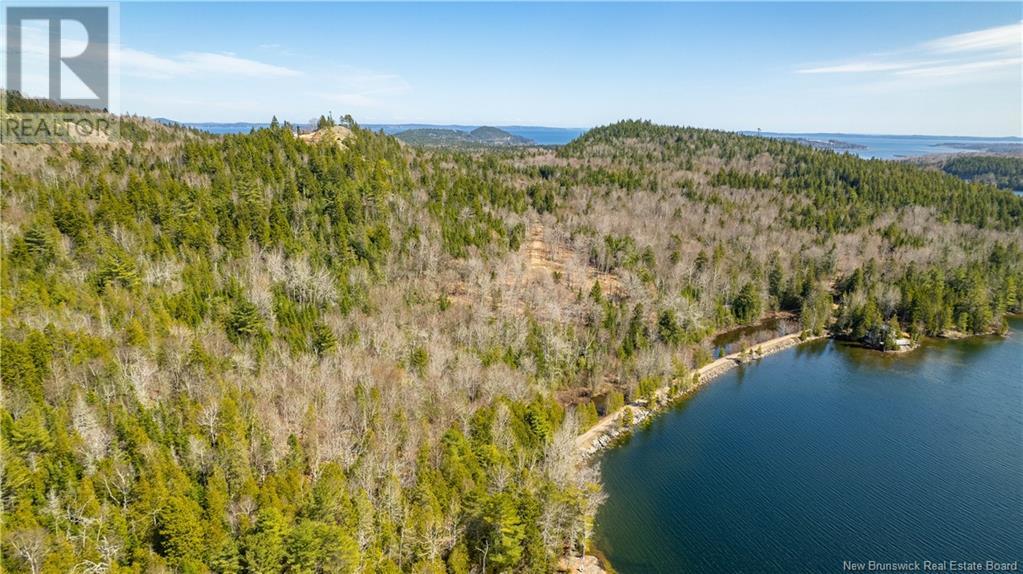 Lot 2021-01 And 02 Frye Road, Chamcook, New Brunswick  E5B 0C3 - Photo 19 - NB117111