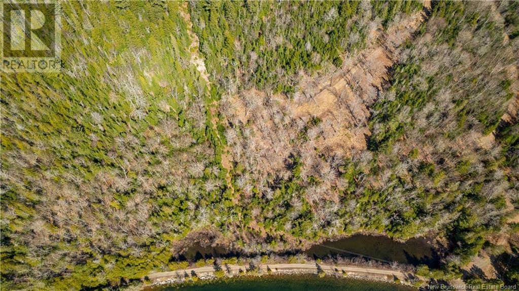 Lot 2021-01 And 02 Frye Road, Chamcook, New Brunswick  E5B 0C3 - Photo 5 - NB117111