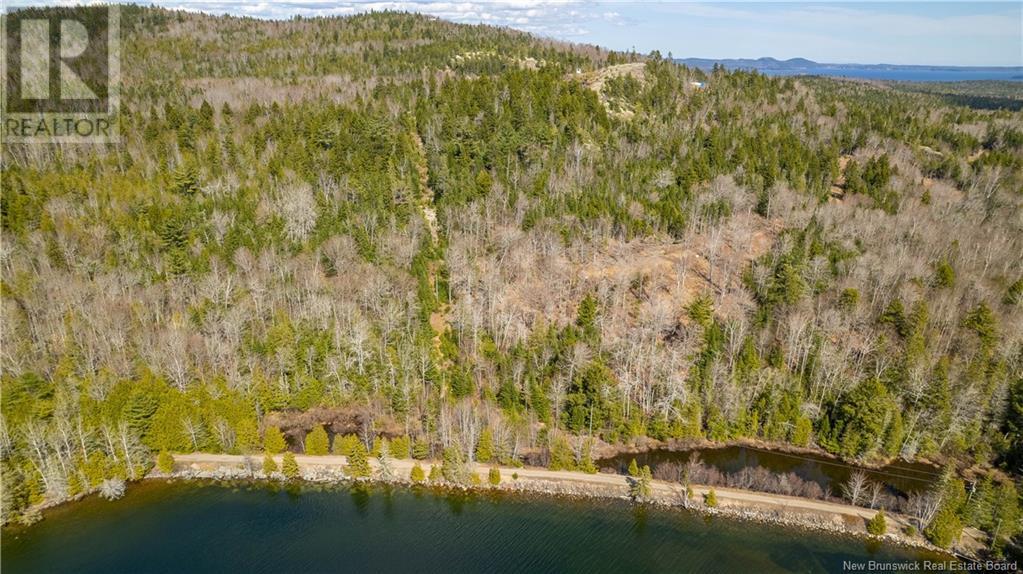 Lot 2021-01 And 02 Frye Road, Chamcook, New Brunswick  E5B 0C3 - Photo 6 - NB117111