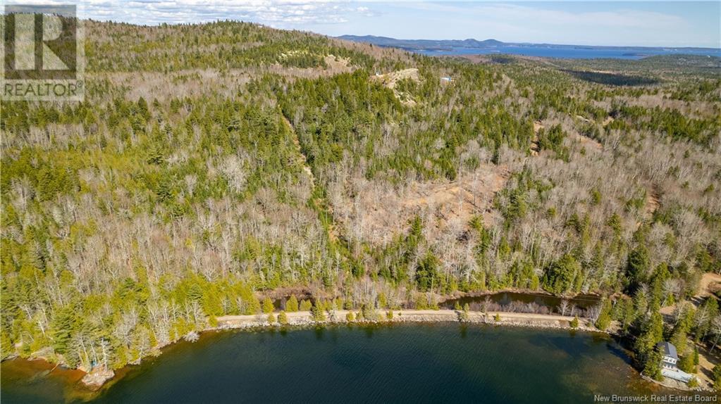 Lot 2021-01 And 02 Frye Road, Chamcook, New Brunswick  E5B 0C3 - Photo 7 - NB117111