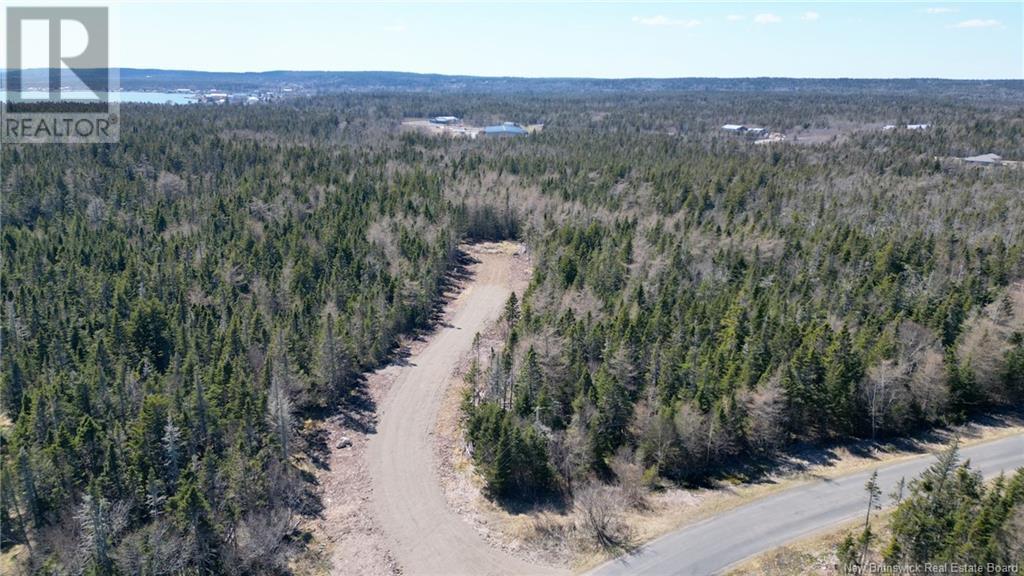 Lot 5 Shore Road, Grand Manan, New Brunswick E5G 3E6 - Photo 6 - NB118634