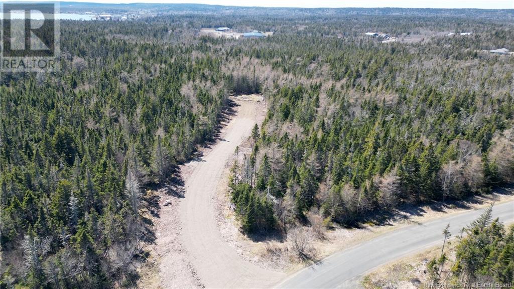 Lot 3 Shore Road, Grand Manan, New Brunswick  E5G 3E6 - Photo 2 - NB118631