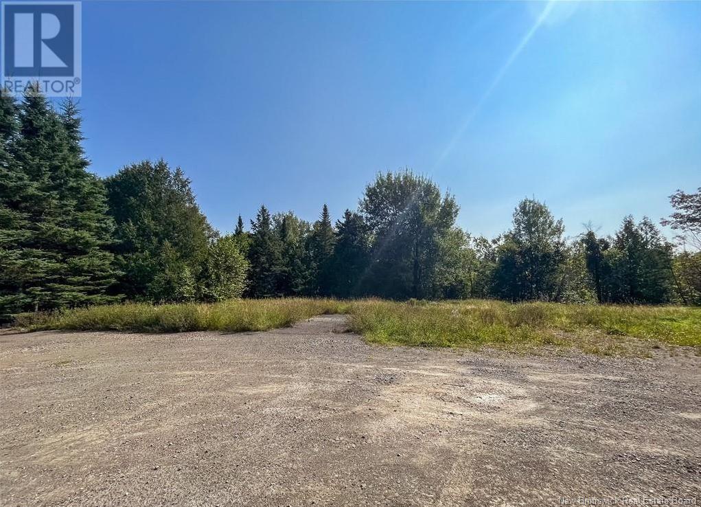 1768 Des Pionniers Avenue, Balmoral, New Brunswick E8E 1G2 - Photo 4 - NB119030