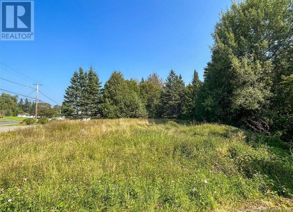 1768 Des Pionniers Avenue, Balmoral, New Brunswick E8E 1G2 - Photo 5 - NB119030