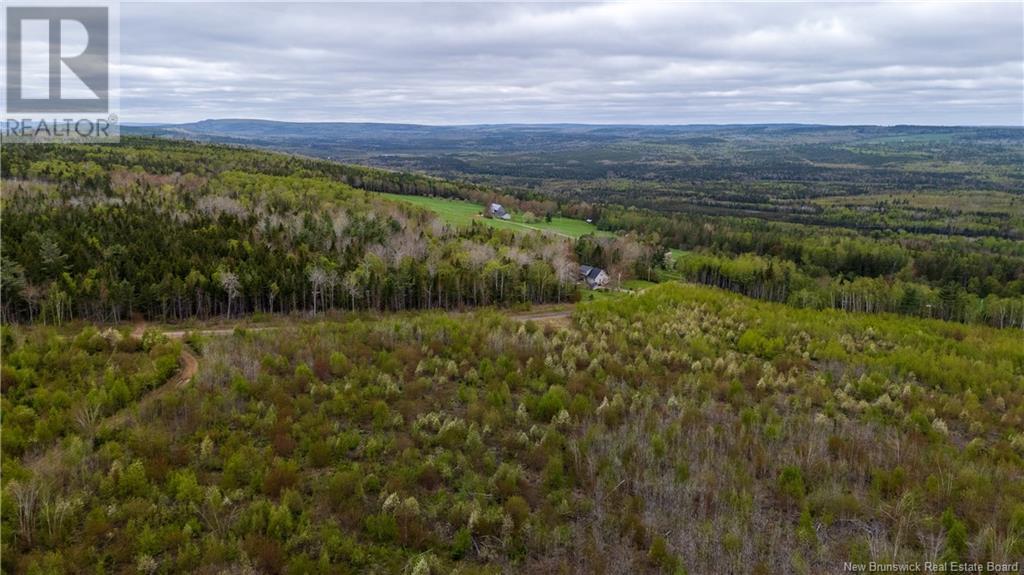 Lot 39 Davidson Road, Anagance, New Brunswick  E4Z 1E1 - Photo 16 - NB119077