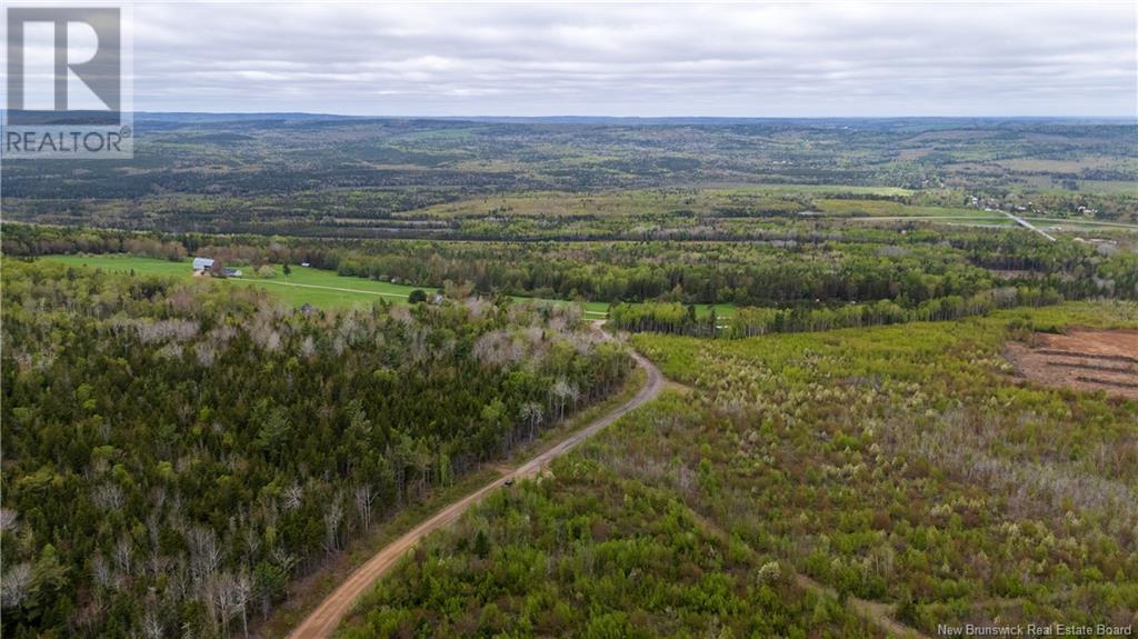 Lot 39 Davidson Road, Anagance, New Brunswick  E4Z 1E1 - Photo 17 - NB119077