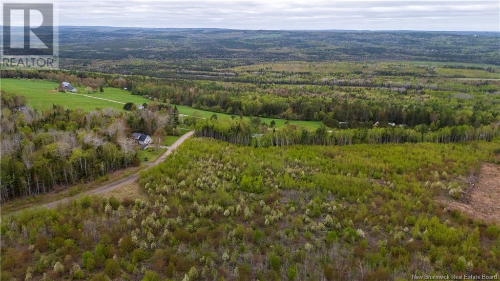 Lot 39 Davidson Road, Anagance, New Brunswick  E4Z 1E1 - Photo 7 - NB119077