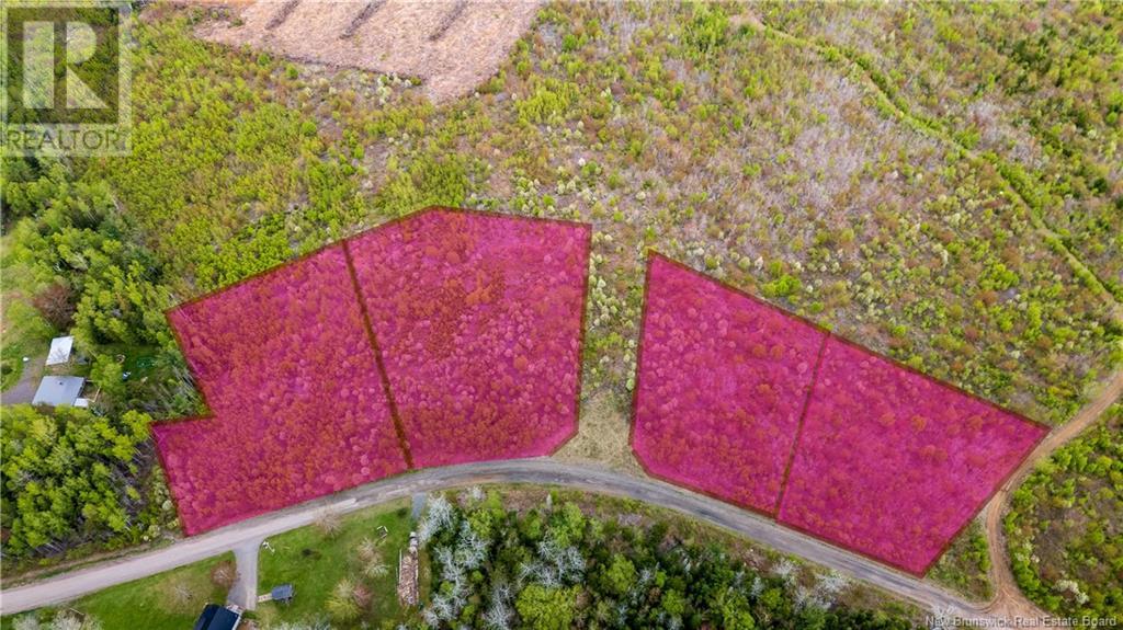 Lot 38 Davidson Road, Anagance, New Brunswick  E4Z 1E1 - Photo 18 - NB119075