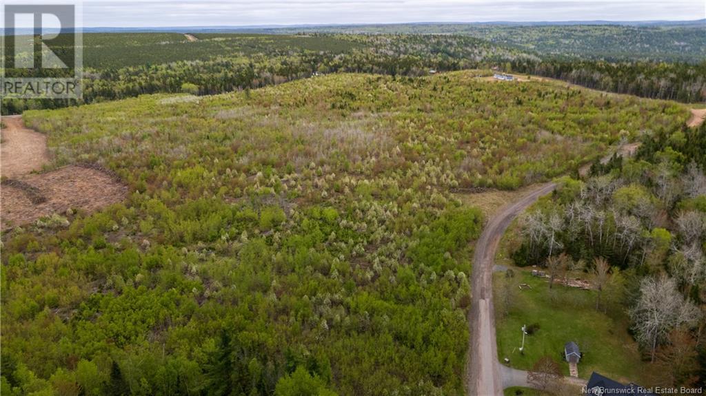 Lot 38 Davidson Road, Anagance, New Brunswick  E4Z 1E1 - Photo 8 - NB119075