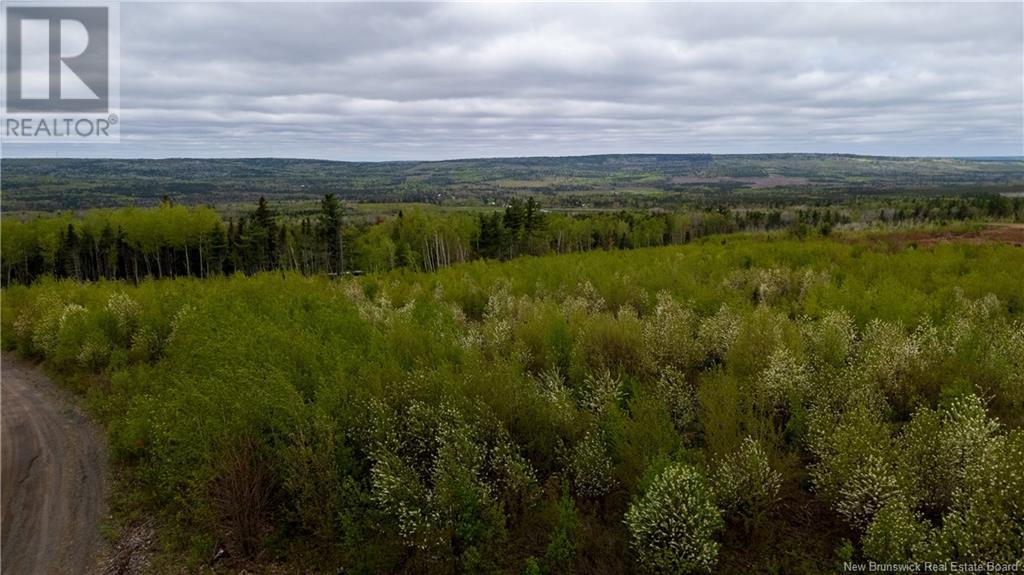 Lot 38 Davidson Road, Anagance, New Brunswick  E4Z 1E1 - Photo 9 - NB119075